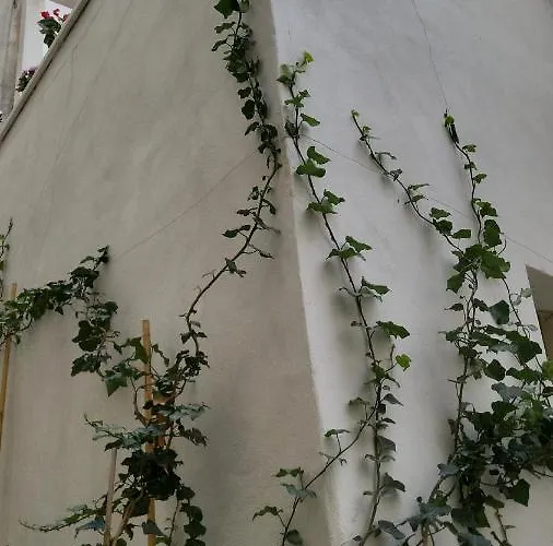 Quart0 Grec0 17 Tatil Evi